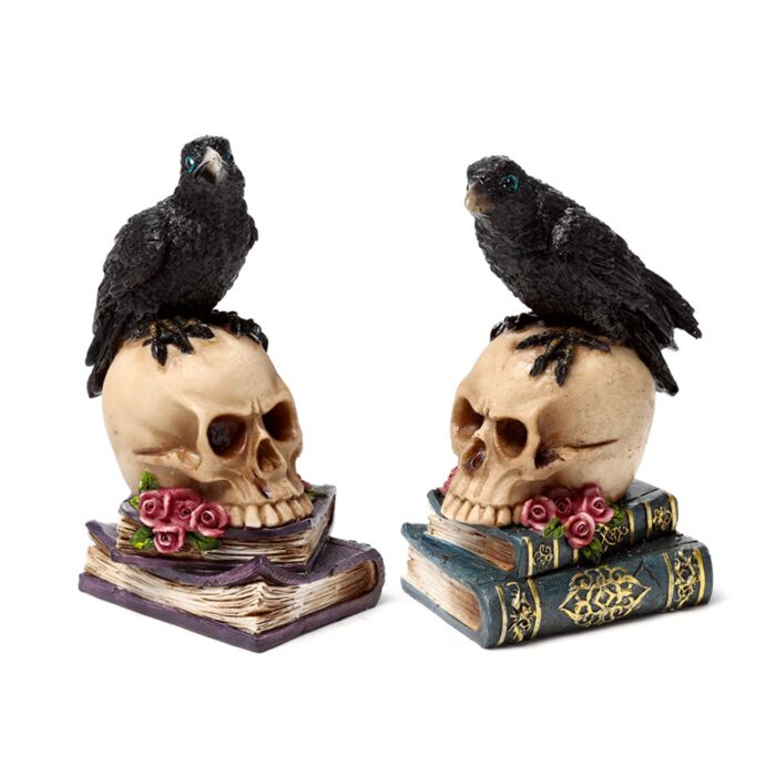 Corvo empoleirado numa caveira e livros