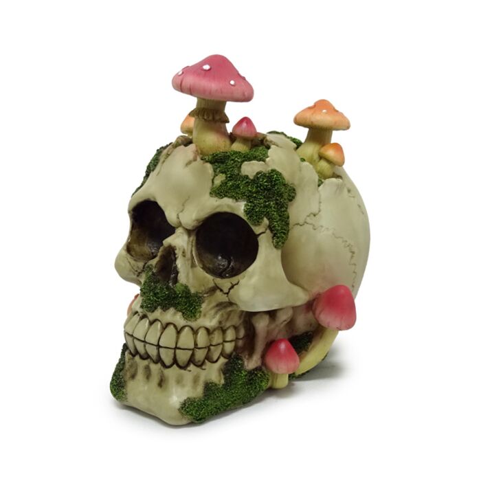 Caveira com cogumelos e musgo