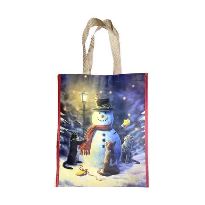 Saco para compras reutilizável Lisa Parker Boneco de neve e gatos