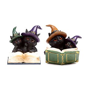 Livro de feitiços mágicos do gato preto