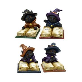 Gatinhos pretos feiticeiros com livro mágico