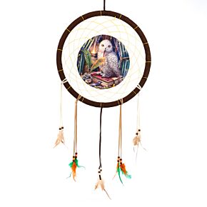 Caça-Sonhos Lisa Parker Coruja Guardiã de Feitiços 33cm