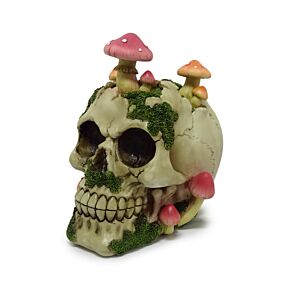 Caveira com cogumelos e musgo
