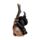 Gato preto bruxo com cabo de vassoura