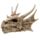 Caveira de dragão decorativa