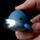 Porta-chaves Pulpo, Pinguím e Golfinho com Led