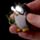 Porta-chaves Pulpo, Pinguím e Golfinho com Led