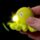 Porta-chaves Pulpo, Pinguím e Golfinho com Led