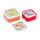Set de 3 tuppers M/L/XL Tulipas