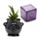 Caldeirão Preto de Bruxas Vaso de Cerâmica para Plantas de Interior