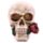 Caveira com Rosas