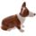 Set de Sal e Pimenta Rainha e cão Corgi