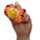 Adoramals - Animais de Espremer Queasy Squeezies - Zoo