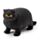 Brinquedo espremível de Gatinho gordo