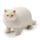 Brinquedo espremível de Gatinho gordo