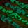Relogio Digital em Silicone Brilha no escuro - Minecraft