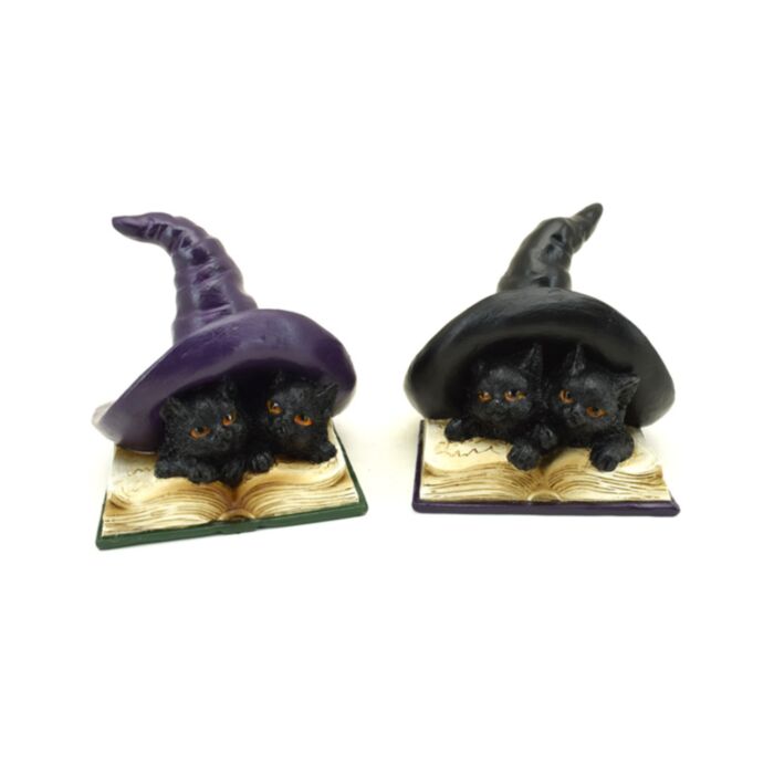 Bruxas, gatos pretos mágicos e feitiços