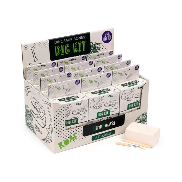 Kit de Escavação Dinossauros Crânio Fossil - Dig-A-Saurs