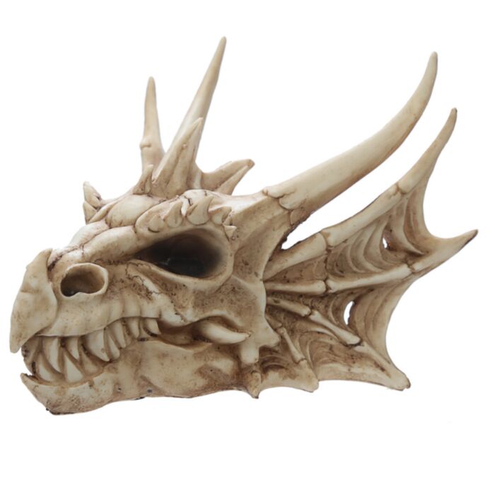 Caveira de dragão decorativa