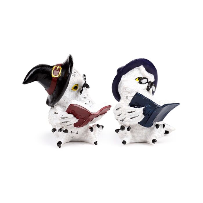 Coruja mágica velha e sábia a ler livros de feitiços