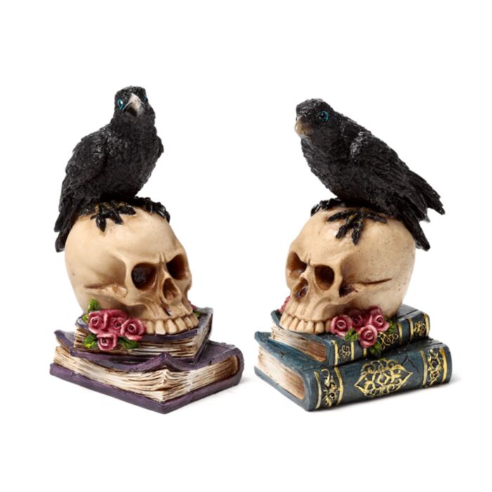 Corvo empoleirado numa caveira e livros