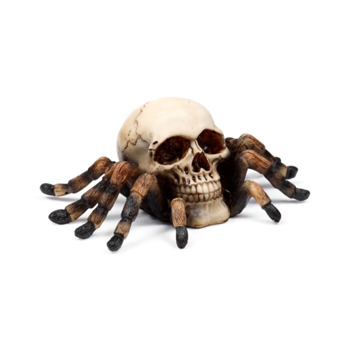 Caveira com patas de aranha