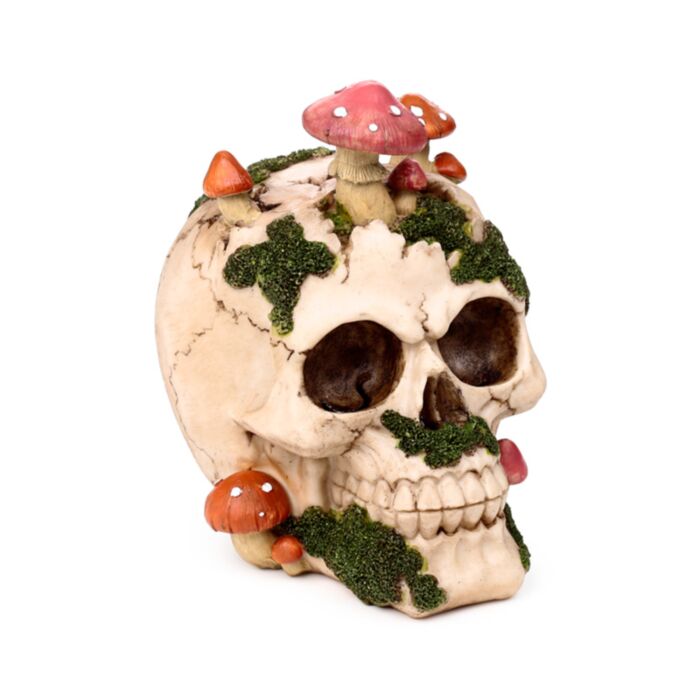 Caveira com cogumelos e musgo