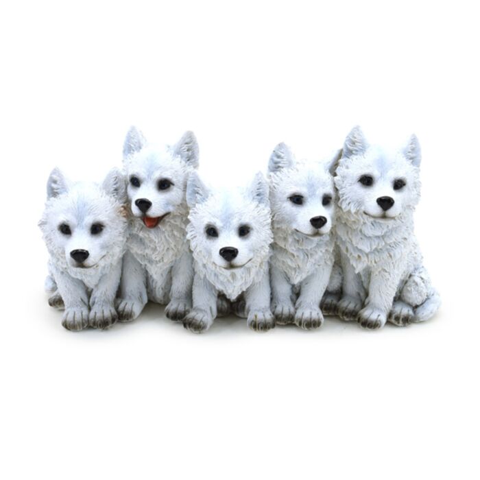 5 cachorrinhos de lobo travessos