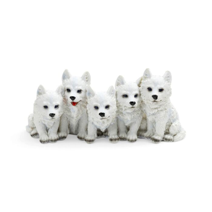 5 cachorrinhos de lobo travessos
