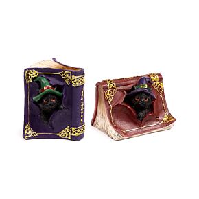 Livro de feitiços para gatos pretos bruxos