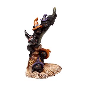 Vassoura trepadeira para gatos pretos bruxos