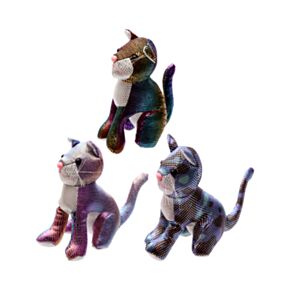 Gato cheio de areia, pequeno
