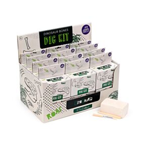 Kit de Escavação Dinossauros Crânio Fossil - Dig-A-Saurs