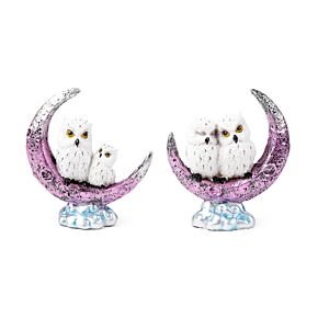 Coruja mágica velha e sábia Lua crescente Coruja mágica velha e sábia Lua crescente