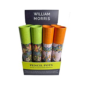 Tubo grande com 12 lápis de cor William Morris