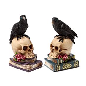 Corvo empoleirado numa caveira e livros