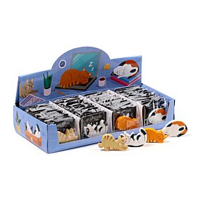 Borracha hora da sesta do gato Borracha hora da sesta do gato