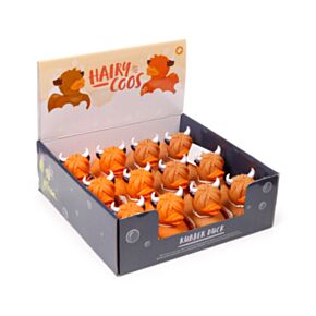 Pato Highland Coo