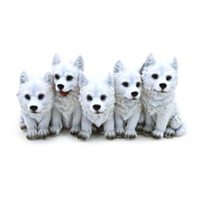 5 cachorrinhos de lobo travessos