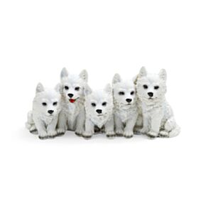 5 cachorrinhos de lobo travessos