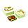 Set de 3 tuppers M/L/XL Rãs tropicais